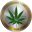 CannabisCoin Kurs